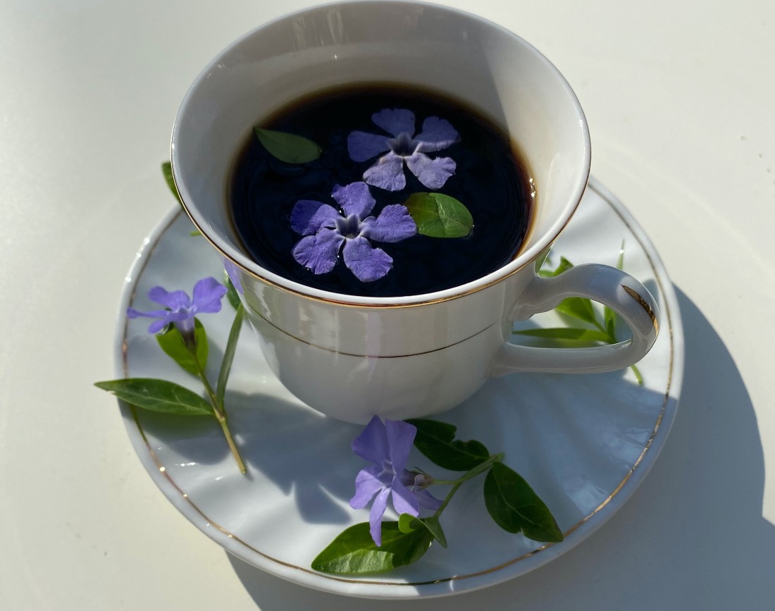 Cescuta de cafea cu flori Periwinkle