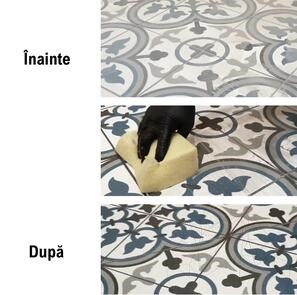 LTP Profesional Grout Stain Remover - Detergent indepartare reziduuri de adezivi, chit, saruri, 5 L