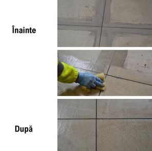 LTP Profesional Grout Stain Remover - Detergent indepartare reziduuri de adezivi, chit, saruri, 5 L