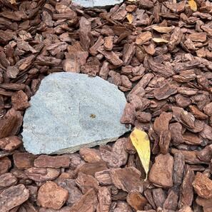 Pas Japonez Natur si Daltuit Ardezie Kavala - Standard