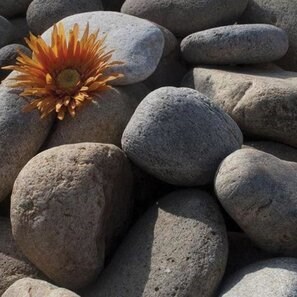 Pebbles Natura 1-2 cm Sac 20 kg