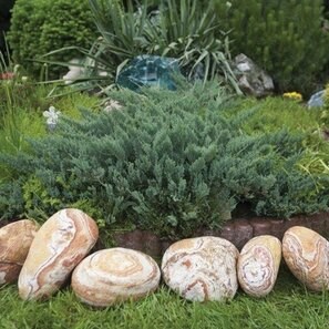 Pebble Sandstone Rainbow 10 - 30 cm  KG