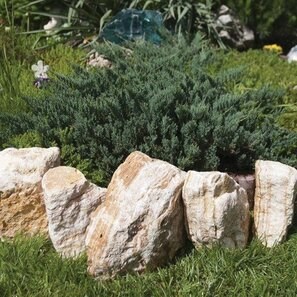 Rocarie Stripe 10-30 cm KG