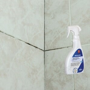 LTP Profesional Mouldex - Detergent spray antimucegai, fungi, alge, pt. bai, bucatarii, locuri umede, 500 ml