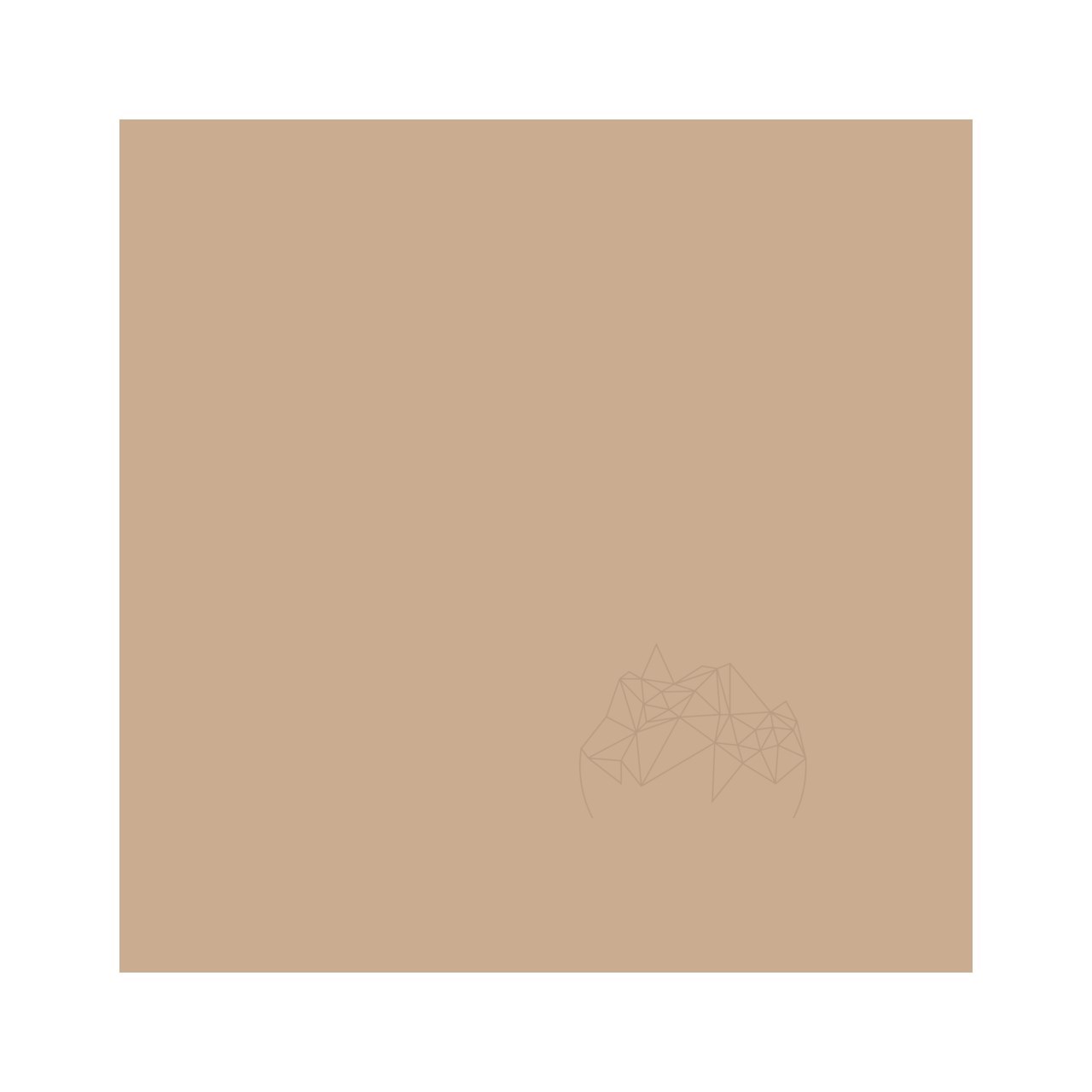 Chit Rosturi - Weber Color Design Mocha, 5 kg