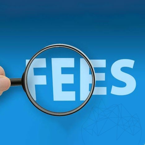 Custom management fees