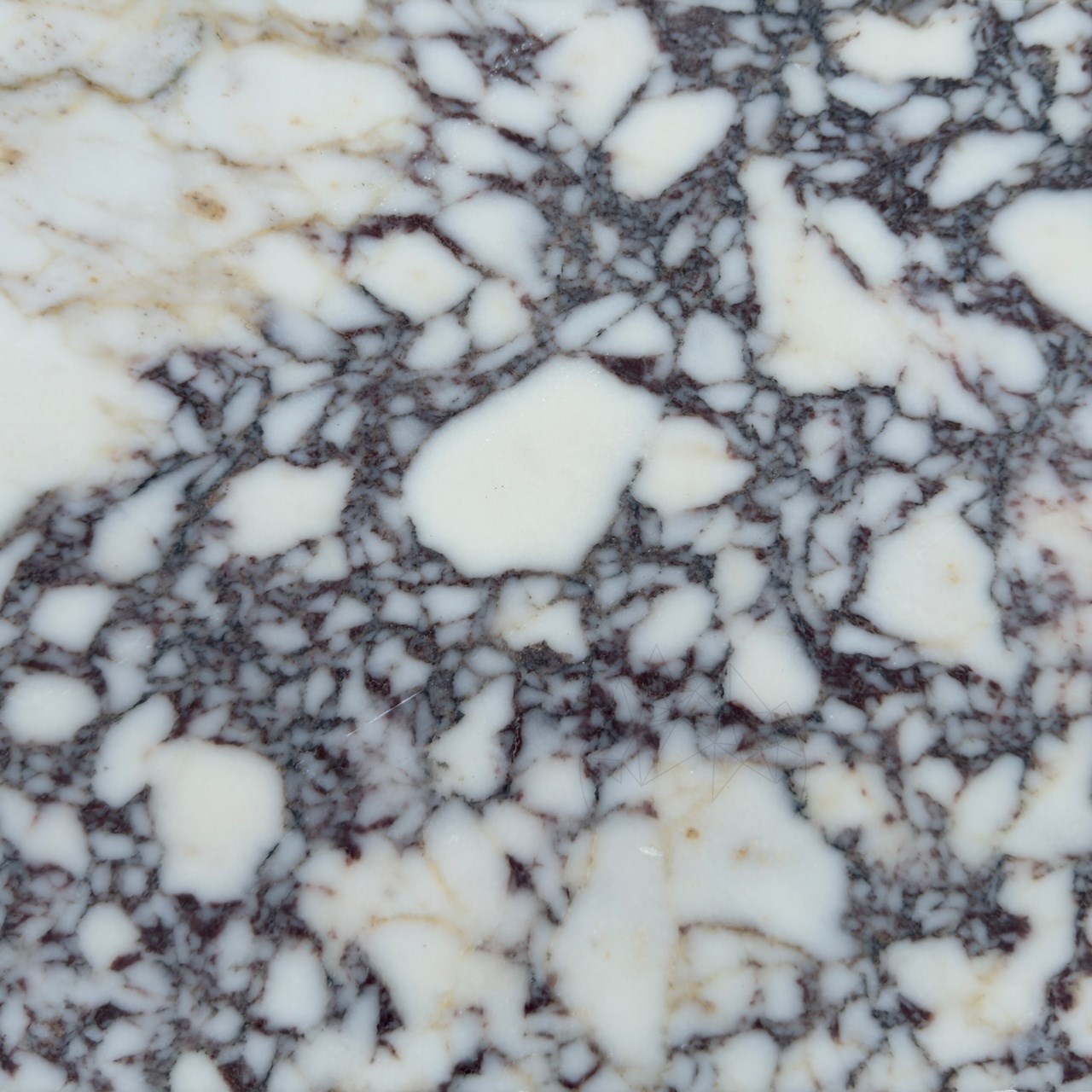 Mostra - Marmura Arabescato Violet Periata, 60 x 30 x 2 cm 
