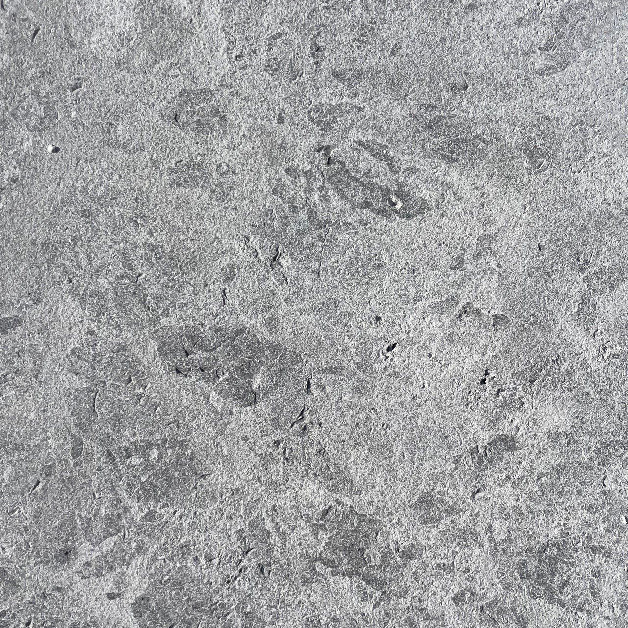 Mostra-Marmura Tundra Grey sablata, 60 x 30 x 2 cm