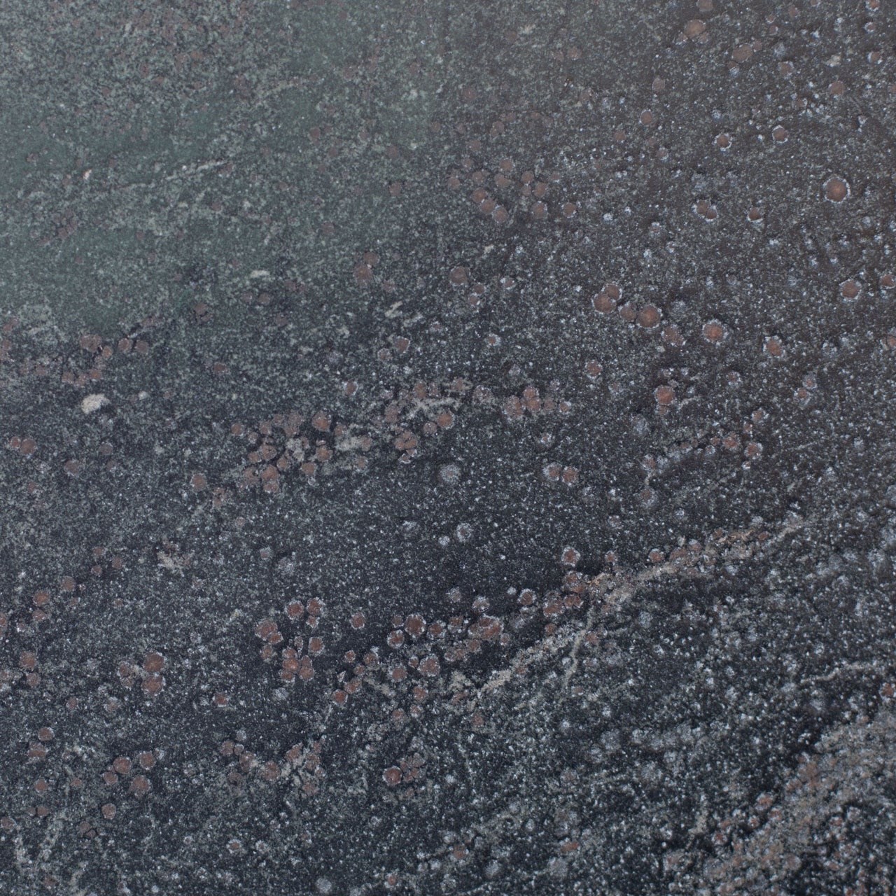 Mostra-Black Forest Leather Finish, 90 x 90 x 1cm