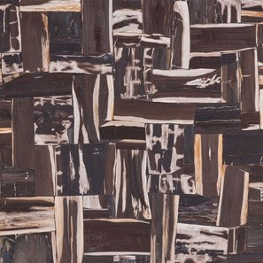 Lastra Black Petrified Wood Retro Super Rock Design, 280 x 170 x 2CM