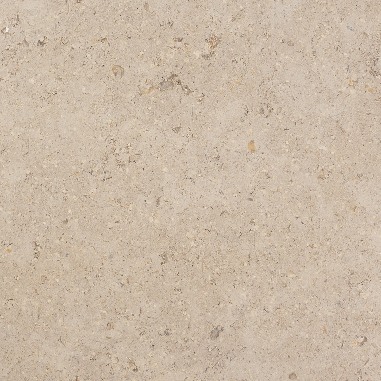 MOSTRA - Limestone Astoria Periat, 61 x 30.5 x 1.2 cm