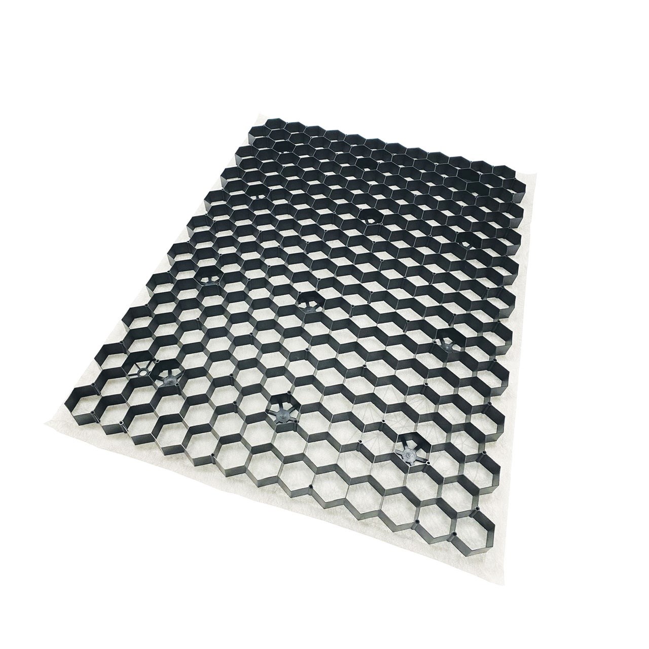BERA - Profil fagure Fix Lite - S - pentru stabilizarea pietrisului, negru, 60 x 80 cm