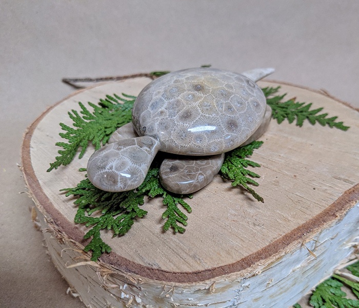 “Petoskey Stone” si blasfemierea trecutului