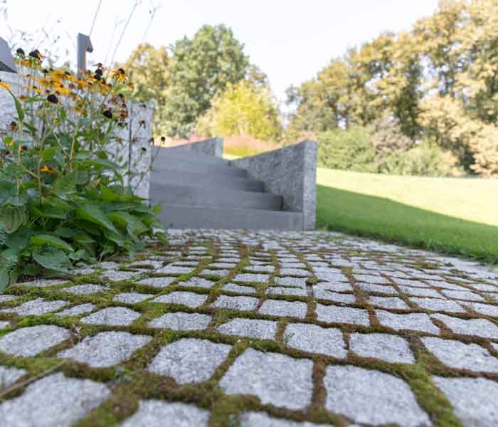 Măiestria Romană în Pietrele Naturale: De la Drumuri la Podele