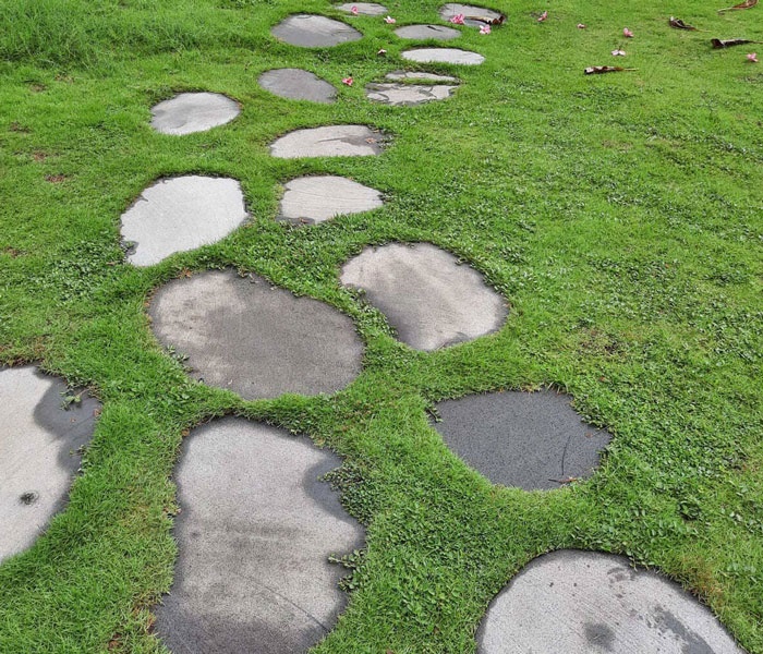Cum sa integrezi pasii de gradina cu elementele naturale: rocarii, iazuri, si vegetatie