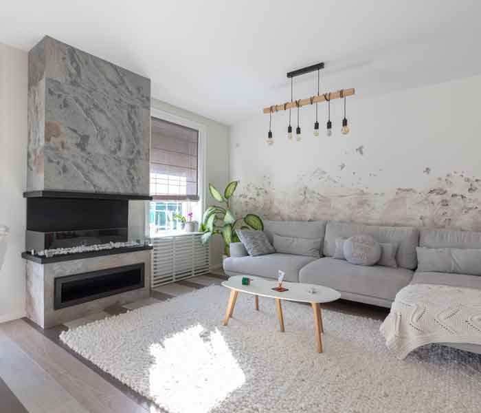 Ardezie Flexibilă și Piatră Naturală Flexibilă: Soluții Inovatoare pentru Design Interior