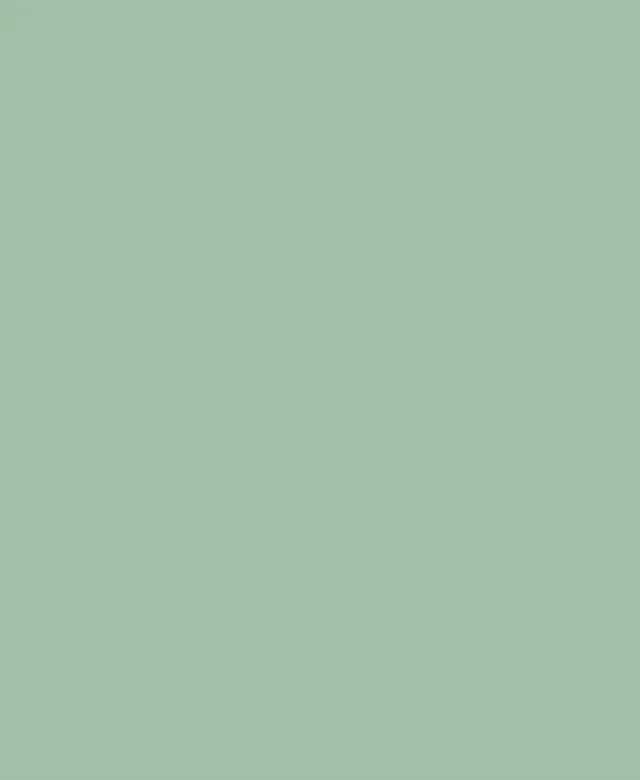 Chit Rosturi - Weber Color Design Olive, 5 kg