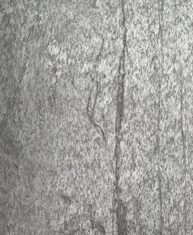 Ardezie Flexibila SKIN MicroStone 1mm - Silver SHINE, 122x61cm | Piatra Ultra-Flexibila pt Pereti, Mobilier, Fatade