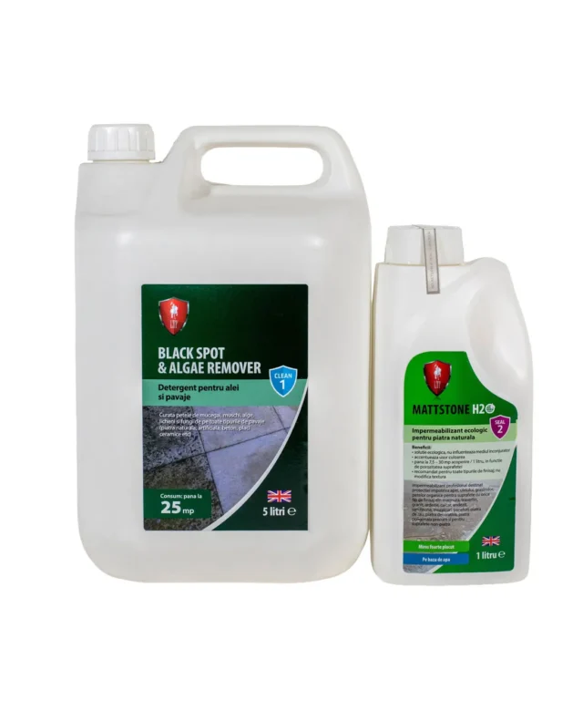 Kit LTP CLEANPAV - Curata pavajele exterioare napadite de muschi si mucegai