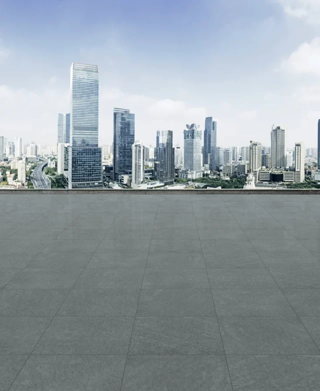 LAP-0008
