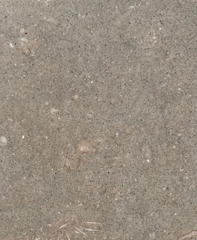 Limestone Oliva Mata, 61 x 30.5 x 1.2 cm