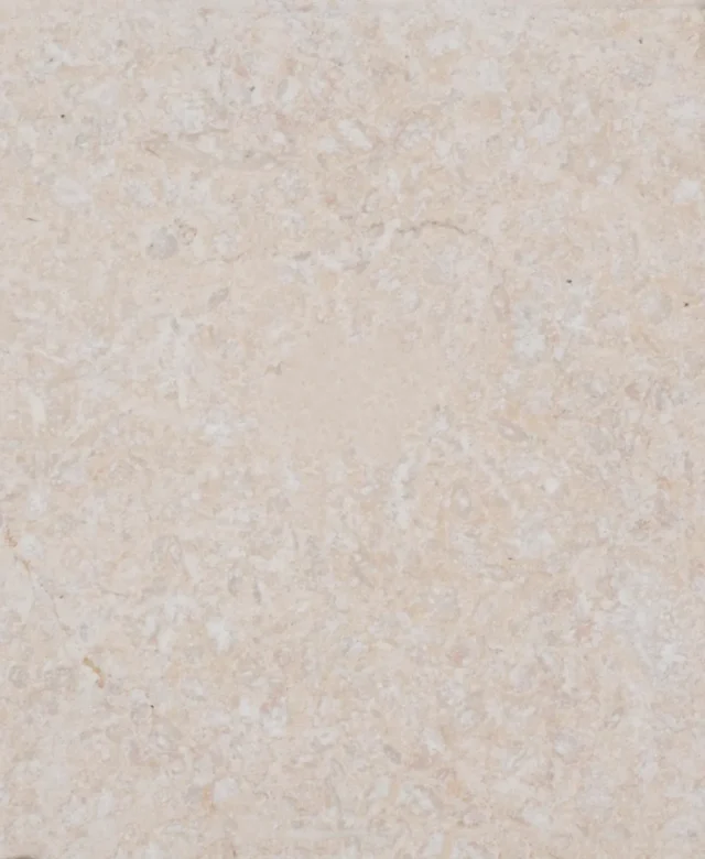 Limestone Sunny Dream Antichizata, 10 x 10 x 1 cm